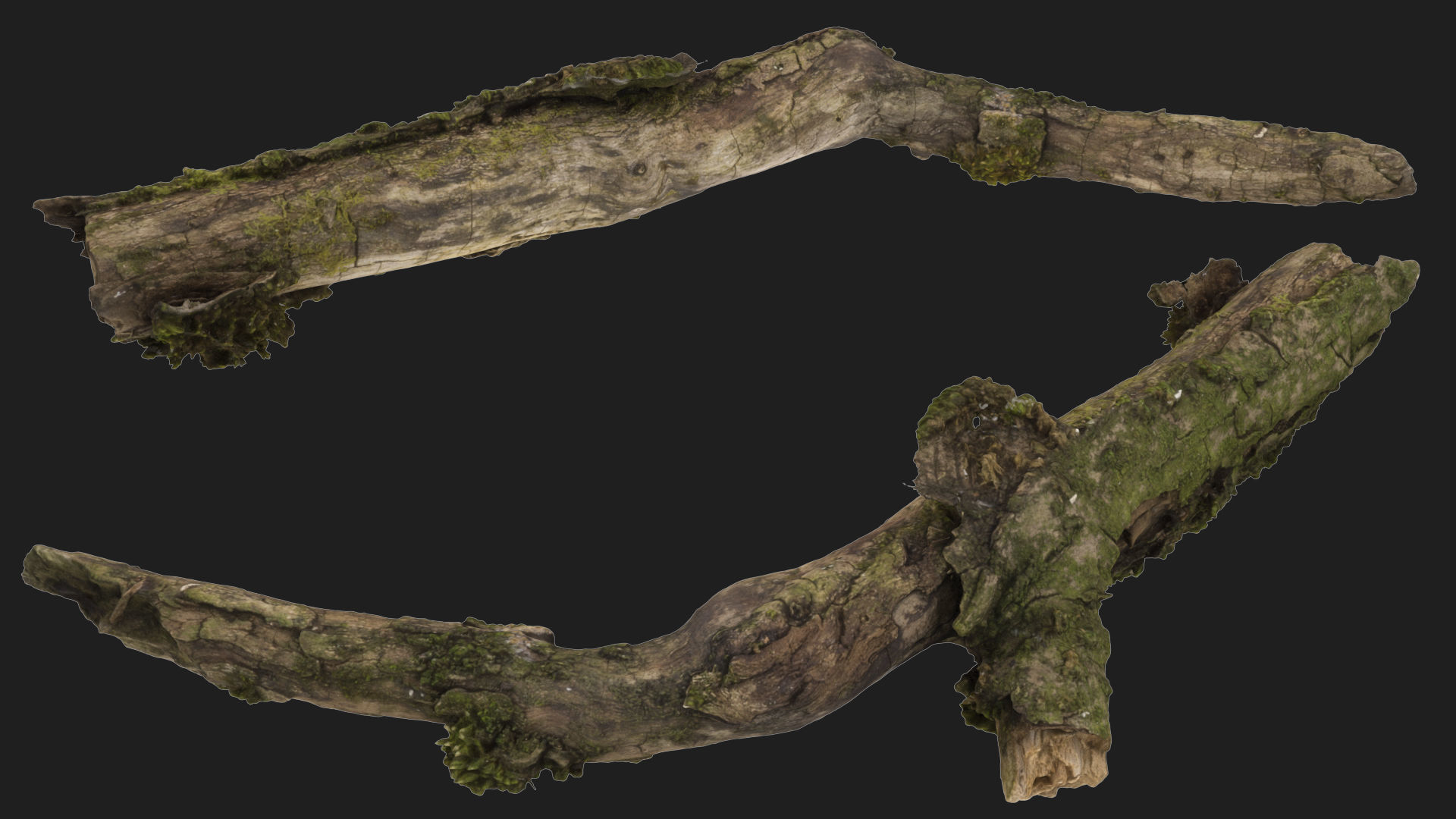 Moss covered sticks Vol 1 Low-poly 3D model_4