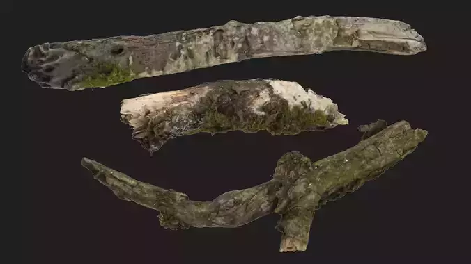 Moss covered sticks Vol 1 Low-poly 3D model