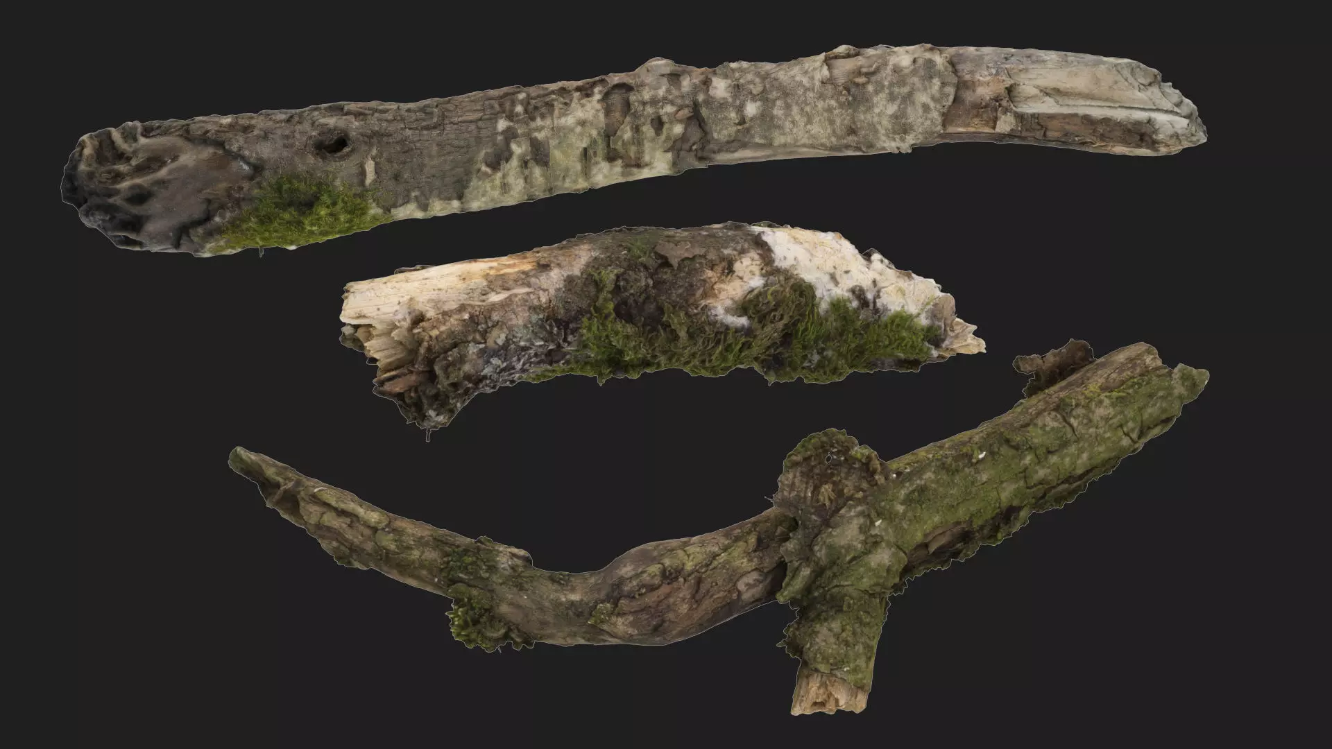 Moss covered sticks Vol 1 Low-poly 3D model_0