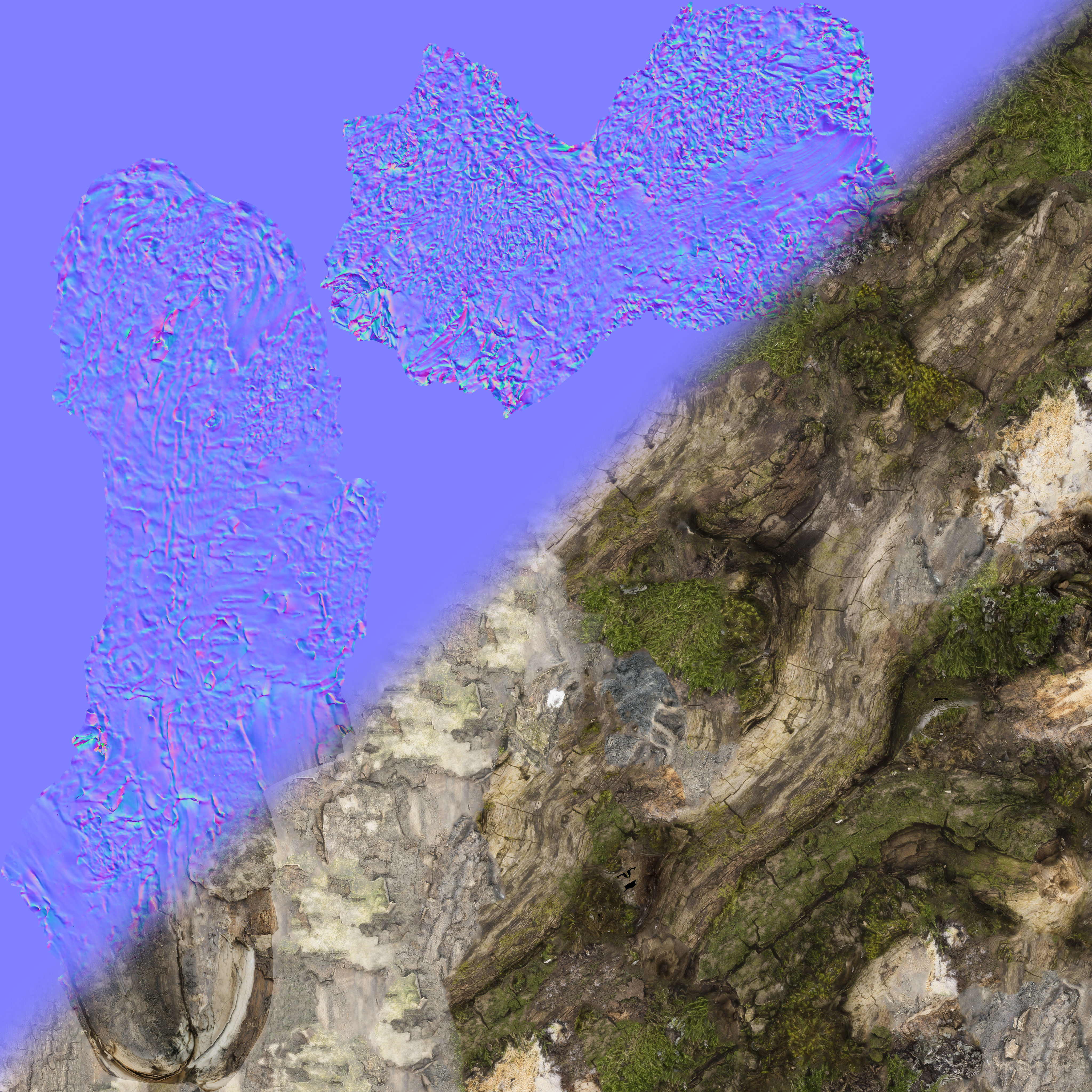 Moss covered sticks Vol 1 Low-poly 3D model_6