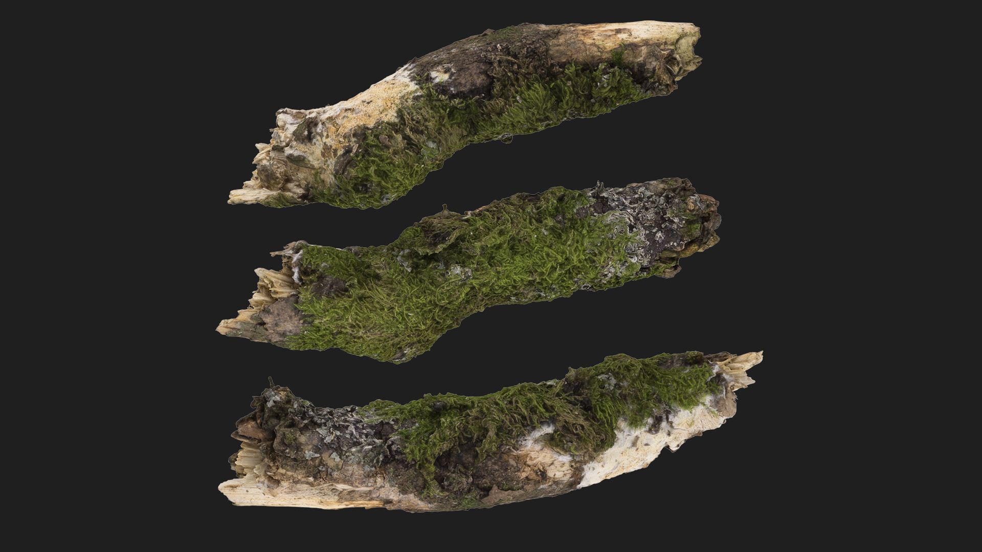 Moss covered sticks Vol 1 Low-poly 3D model_2