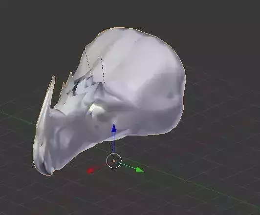 Neoceratopsia Like Dinosaur Triceratops like Dinosaur Second mdl