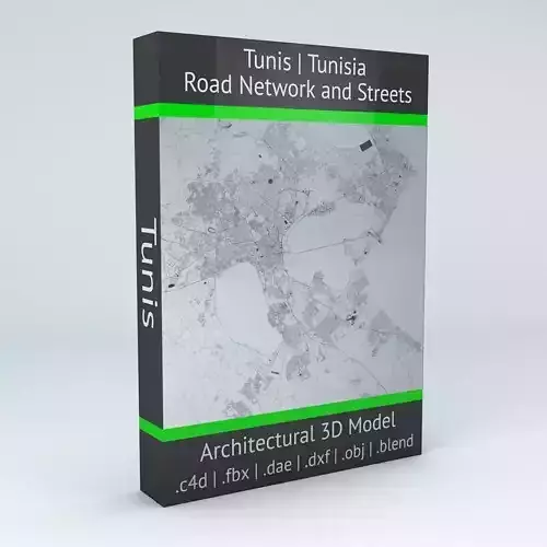 Tunis Road Network and Streets