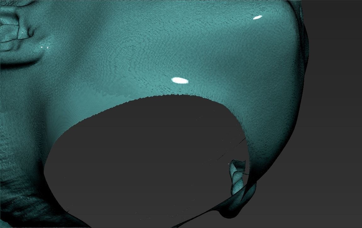 Jennifer Lopez 3D model_37
