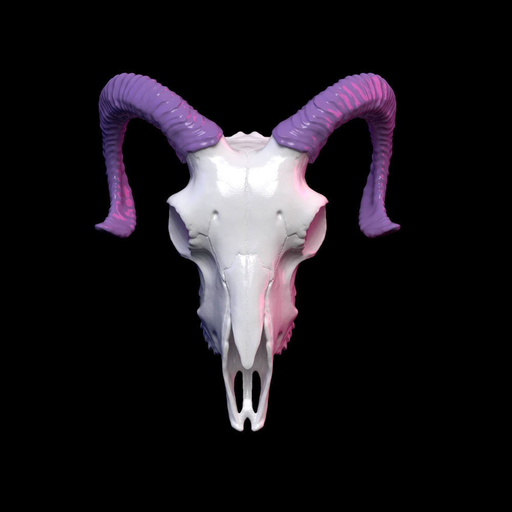 Goat skull 3D print model