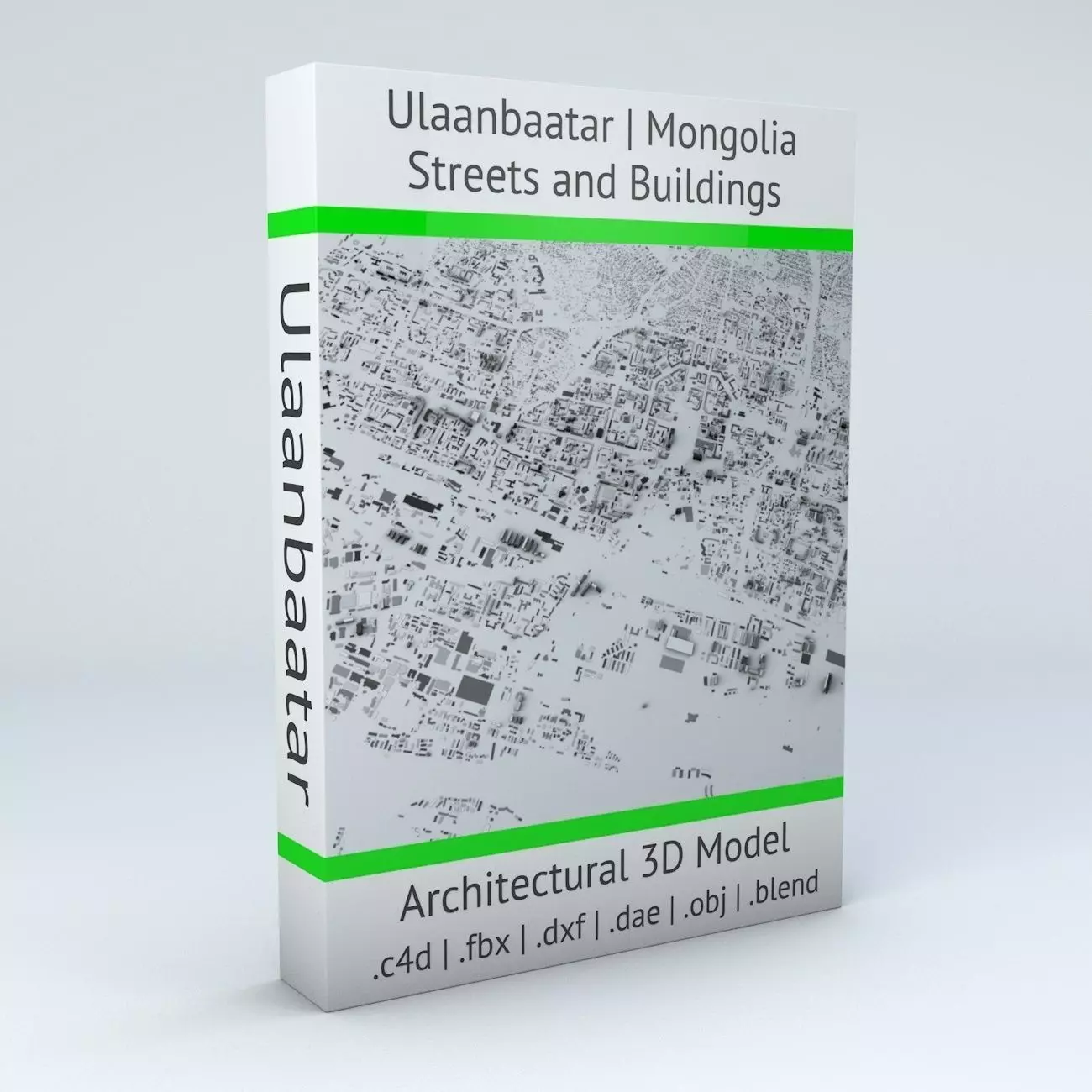 Ulaanbaatar Streets and Buildings 3D model_0