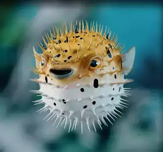 Pufferfish Low-poly 3D model