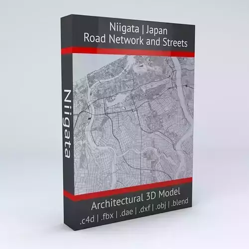 Niigata Road Network and Streets 3D model