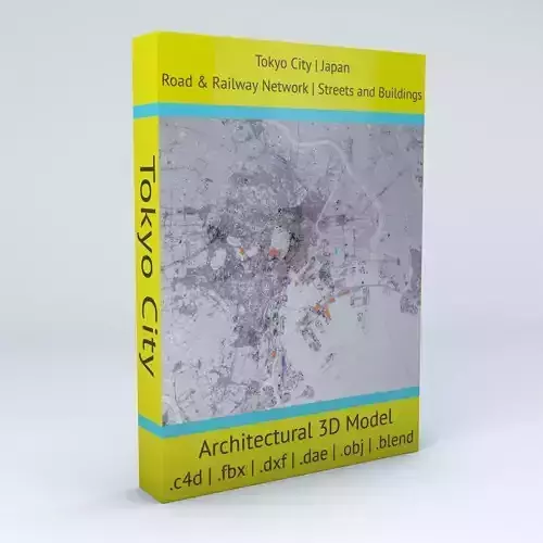 Tokyo City Railway System Road Network Streets and Buildings