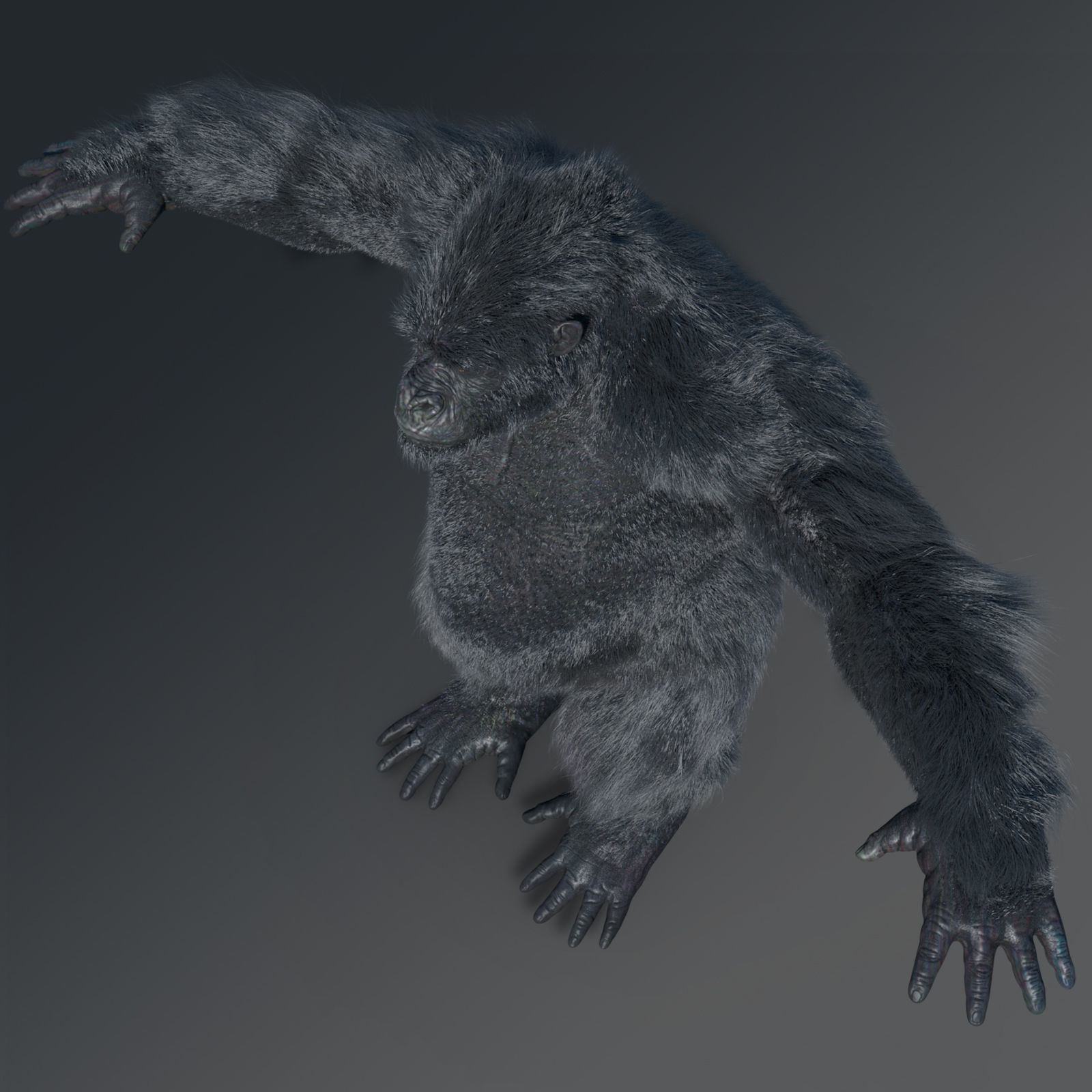 Gorilla rigged 3D model_3