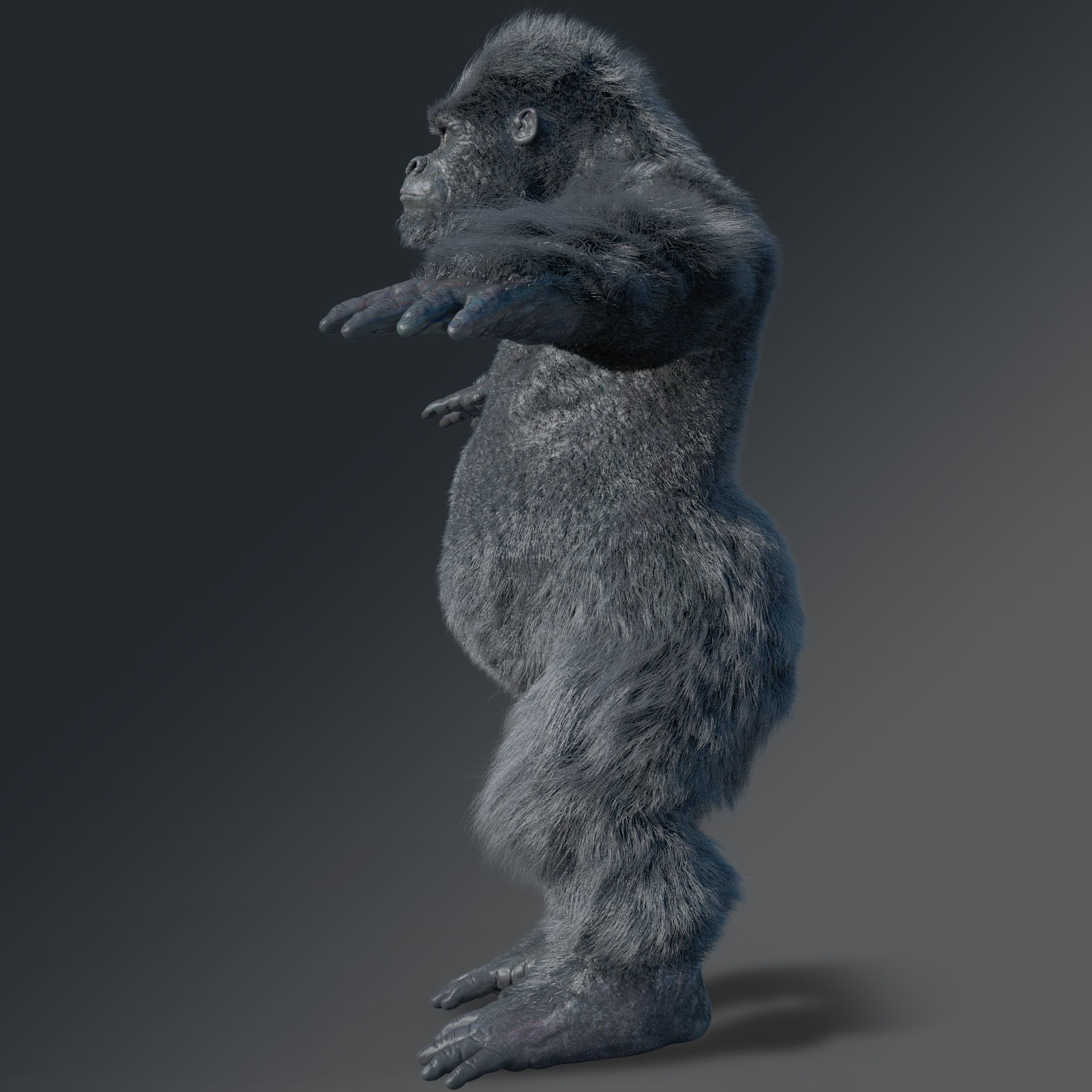 Gorilla rigged 3D model_4