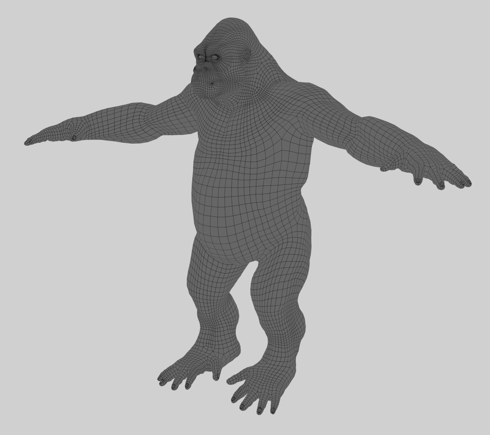 Gorilla 3D model_7