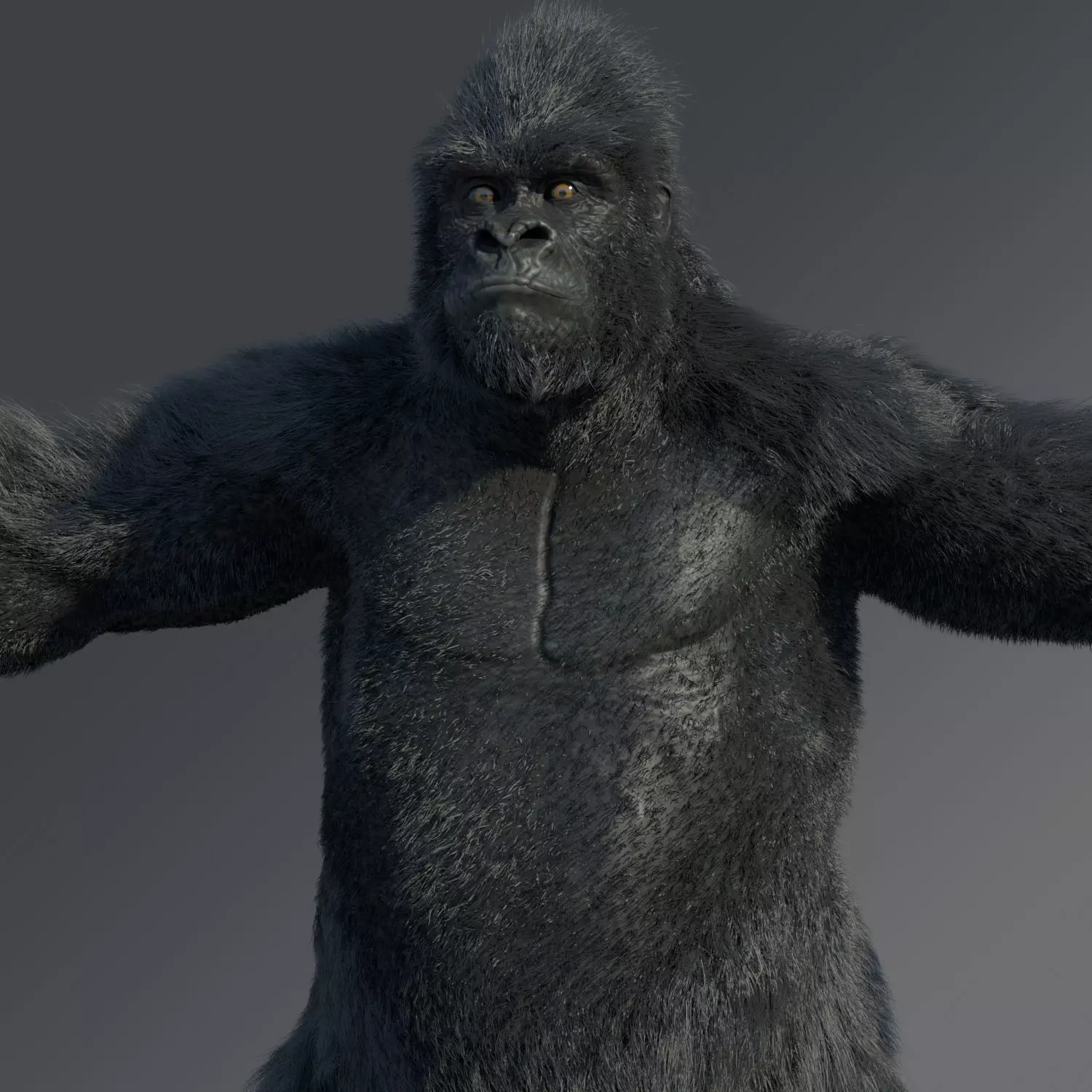 Gorilla 3D model_0