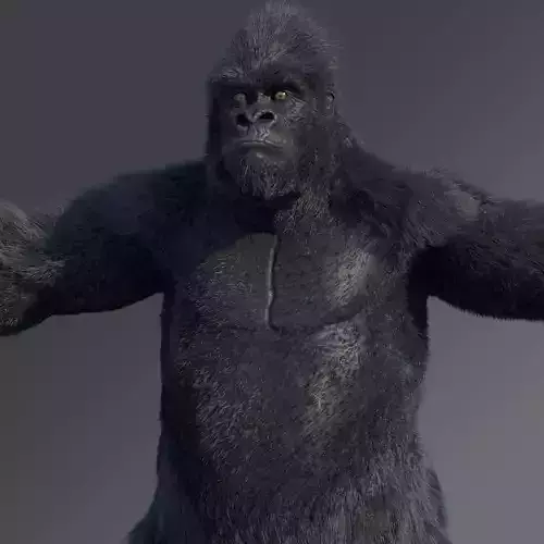 Gorilla 3D model