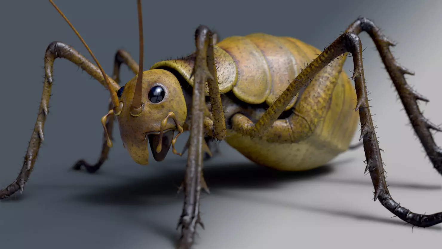 Cricket - giant weta Low-poly 3D model_0