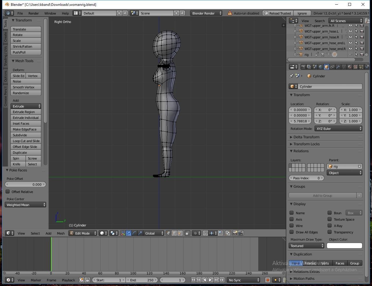Woman human body Low-poly 3D model_3