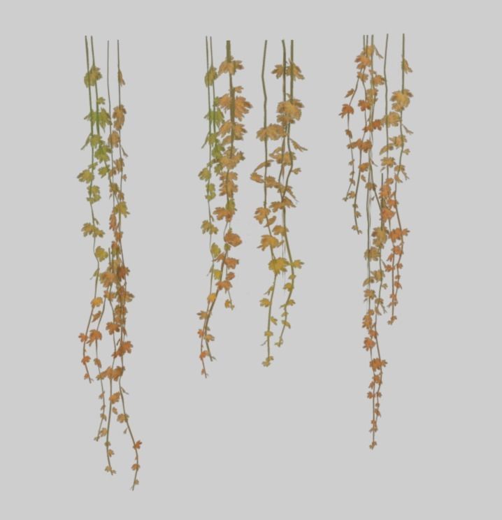 Low-poly plants Low-poly 3D model_4