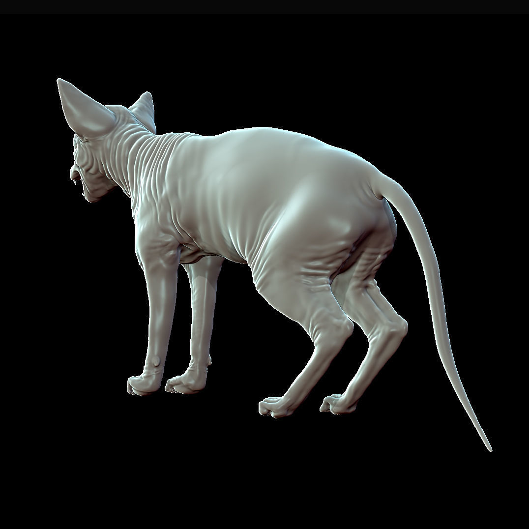 Sphinx Cat Sculpt 3D model_2