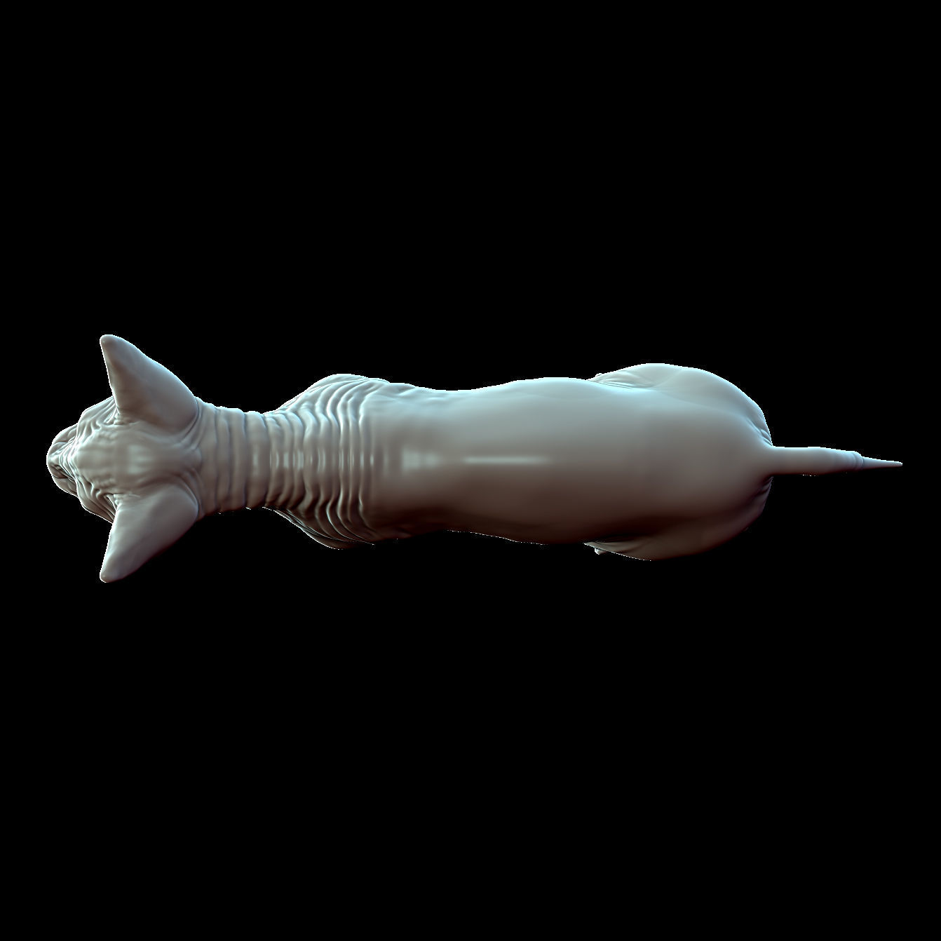 Sphinx Cat Sculpt 3D model_4