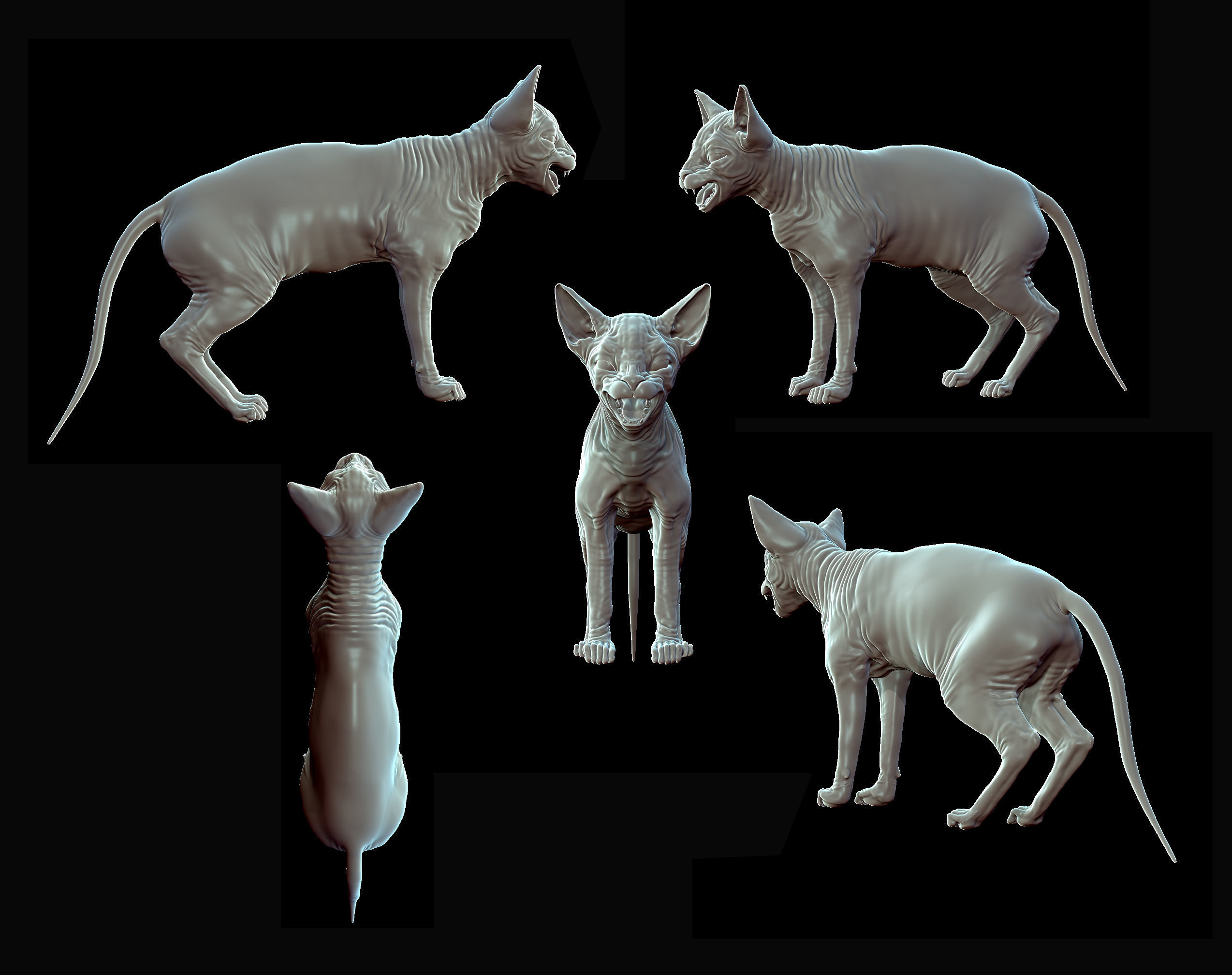 Sphinx Cat Sculpt 3D model_5