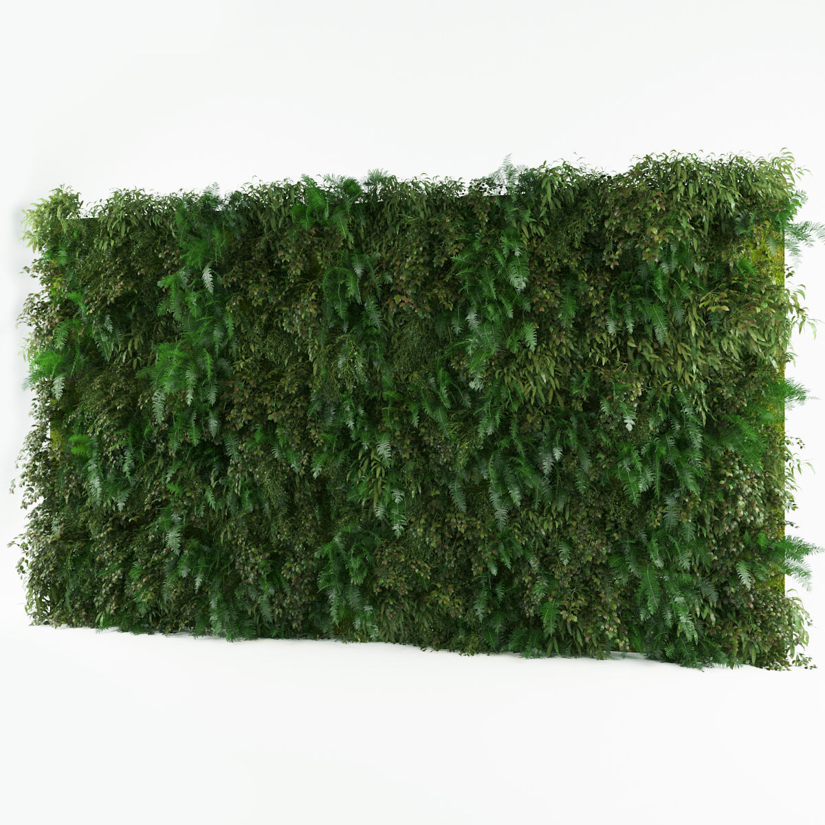 Green Wall 1 3D model_1