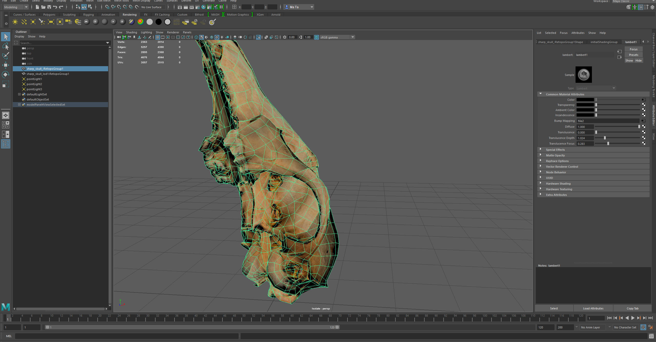 Small photorealistic Skull Low-poly 3D model_37