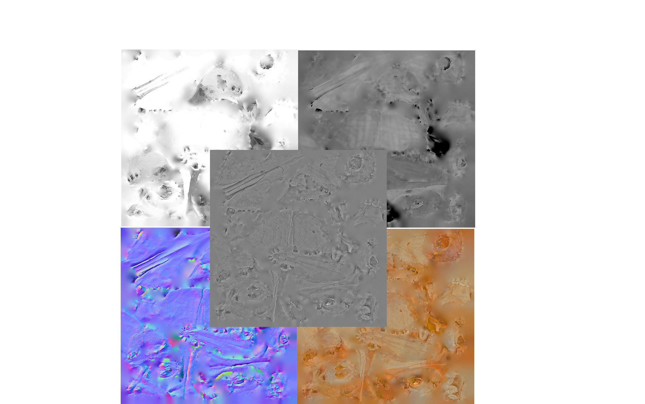 Small photorealistic Skull Low-poly 3D model_36