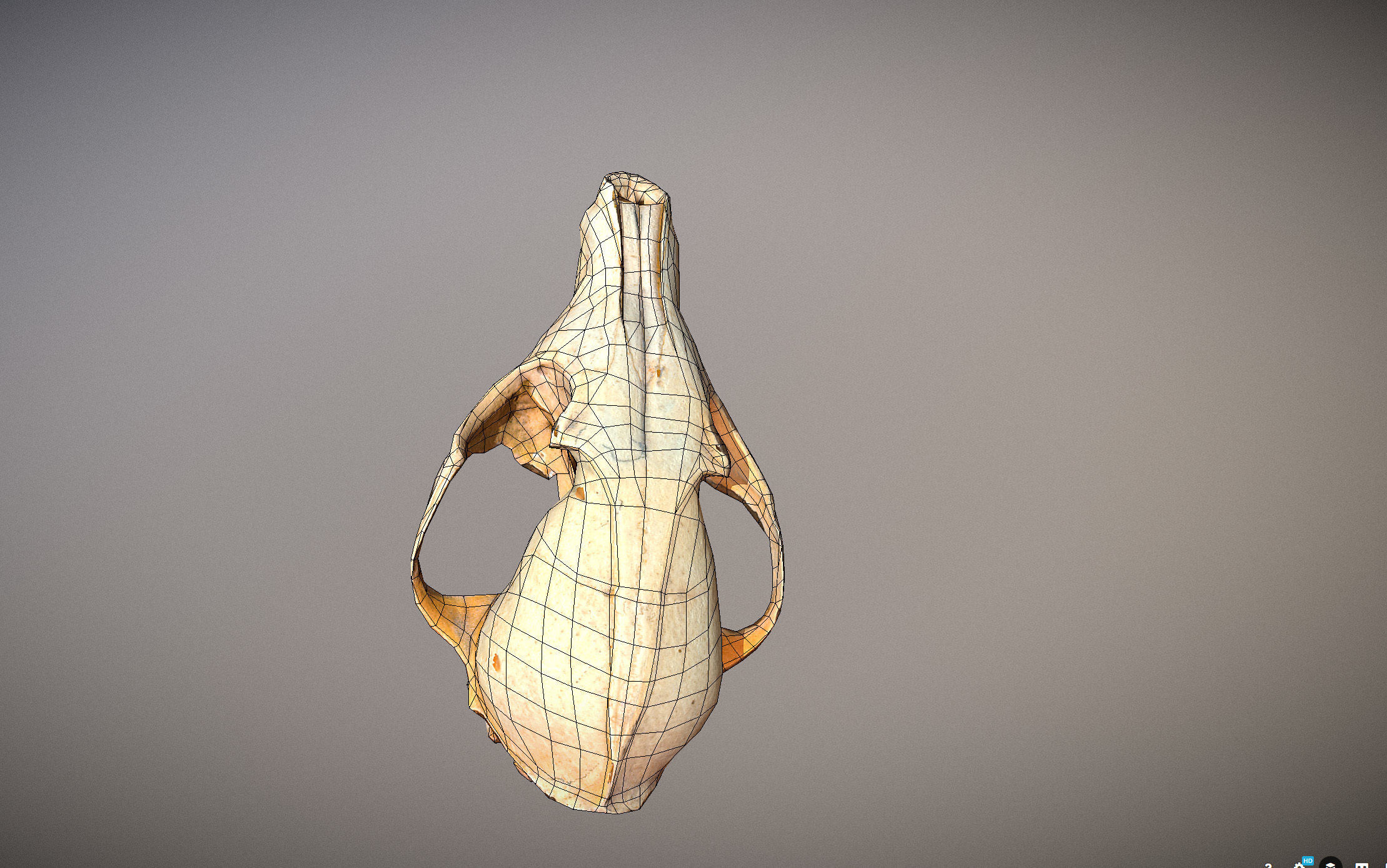 Small photorealistic Skull Low-poly 3D model_17