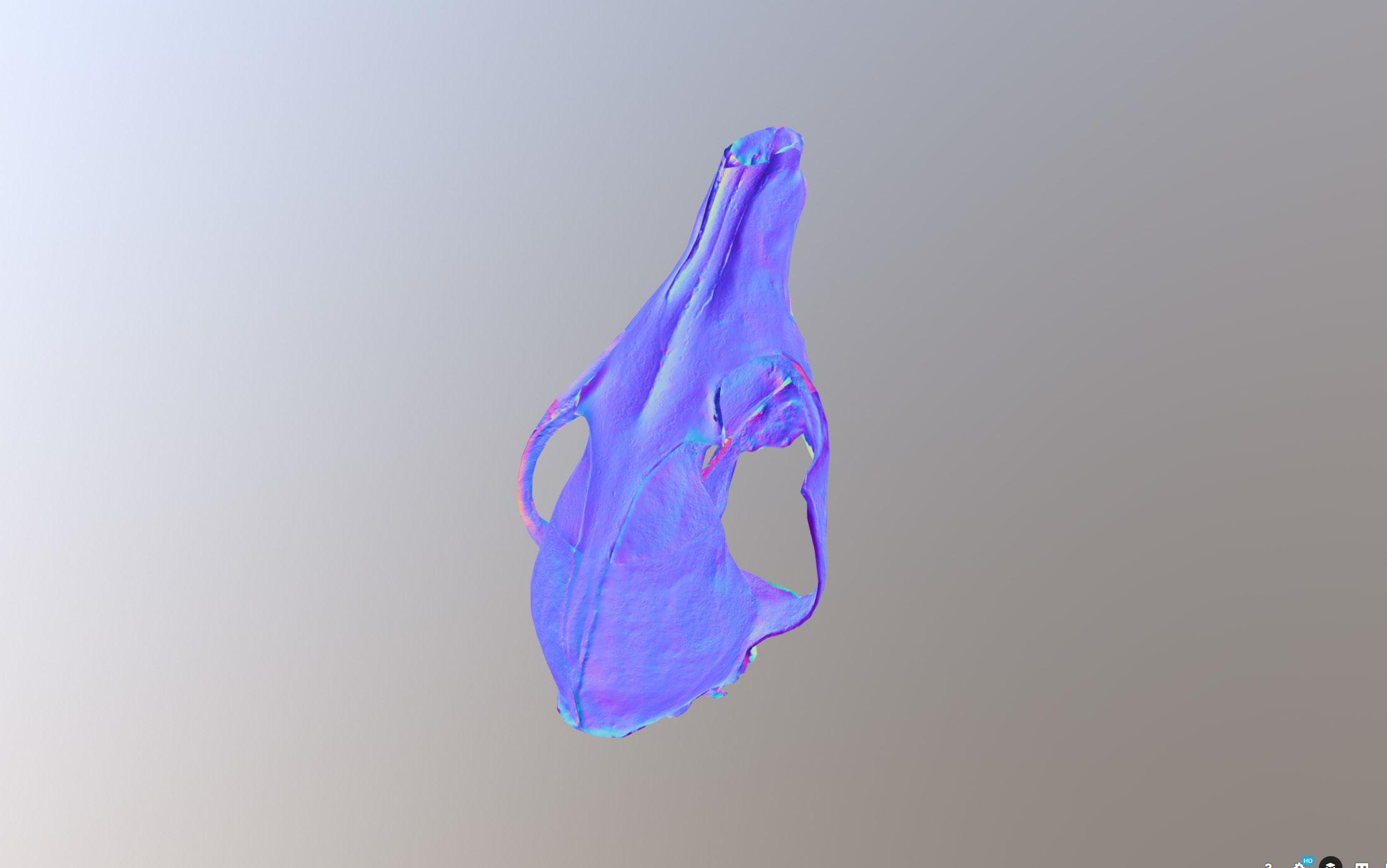 Small photorealistic Skull Low-poly 3D model_29