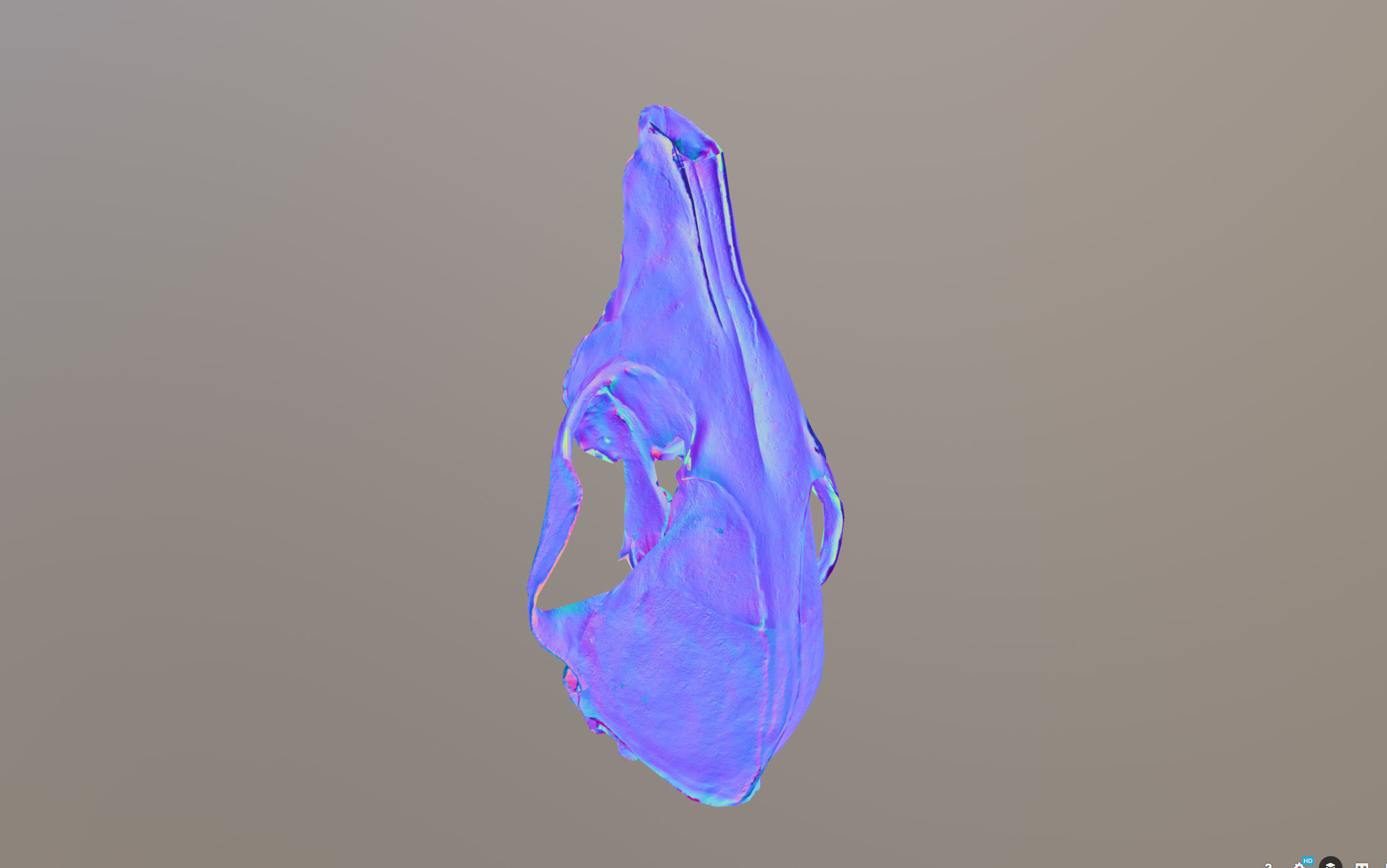 Small photorealistic Skull Low-poly 3D model_31