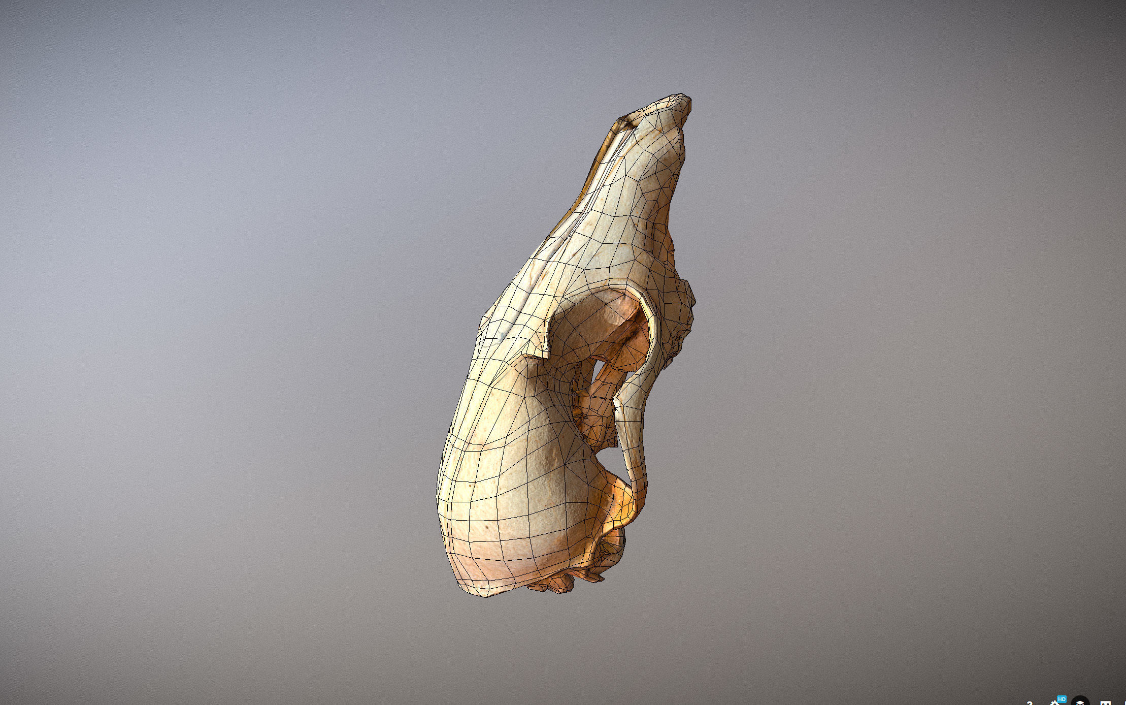 Small photorealistic Skull Low-poly 3D model_18