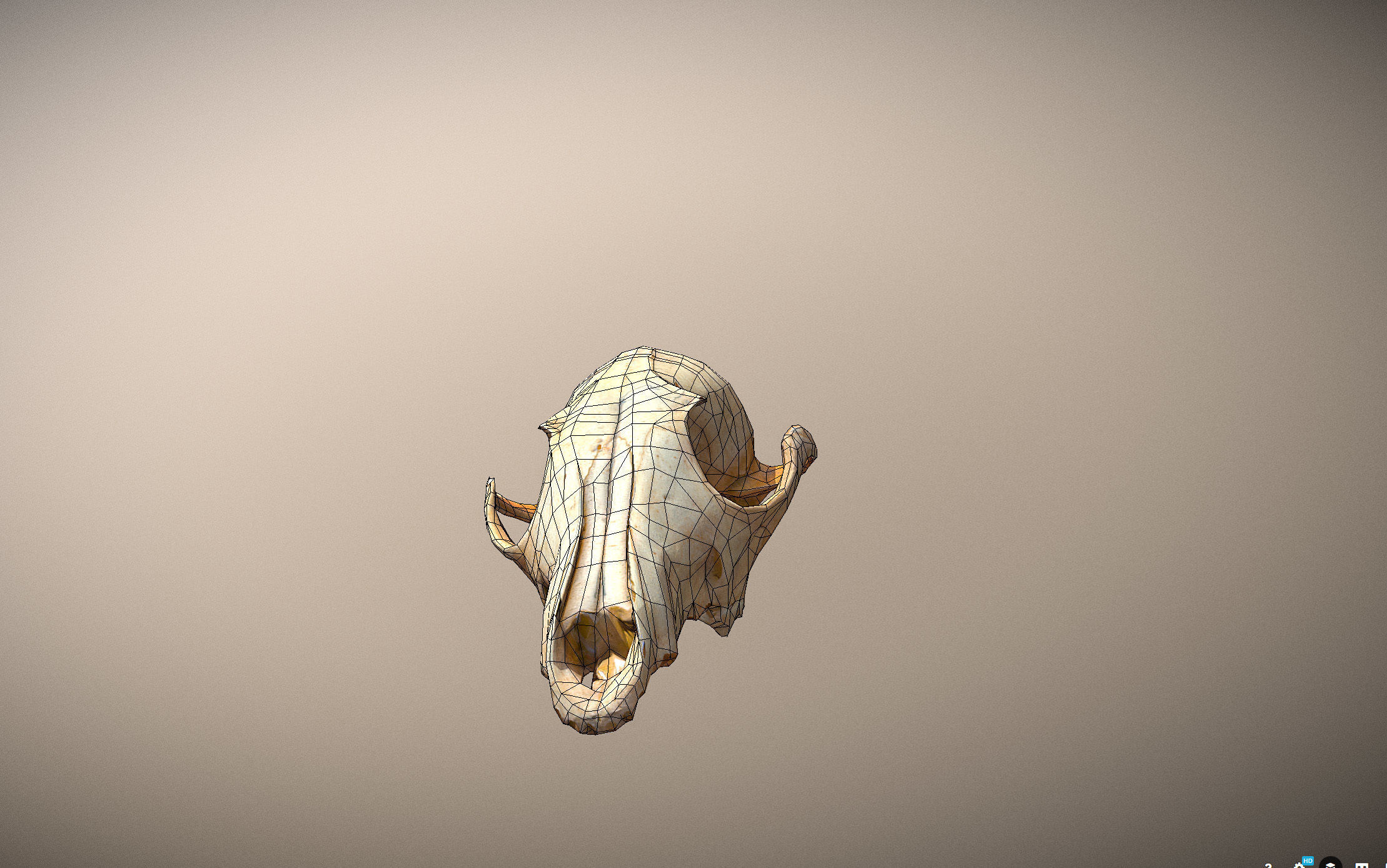 Small photorealistic Skull Low-poly 3D model_21