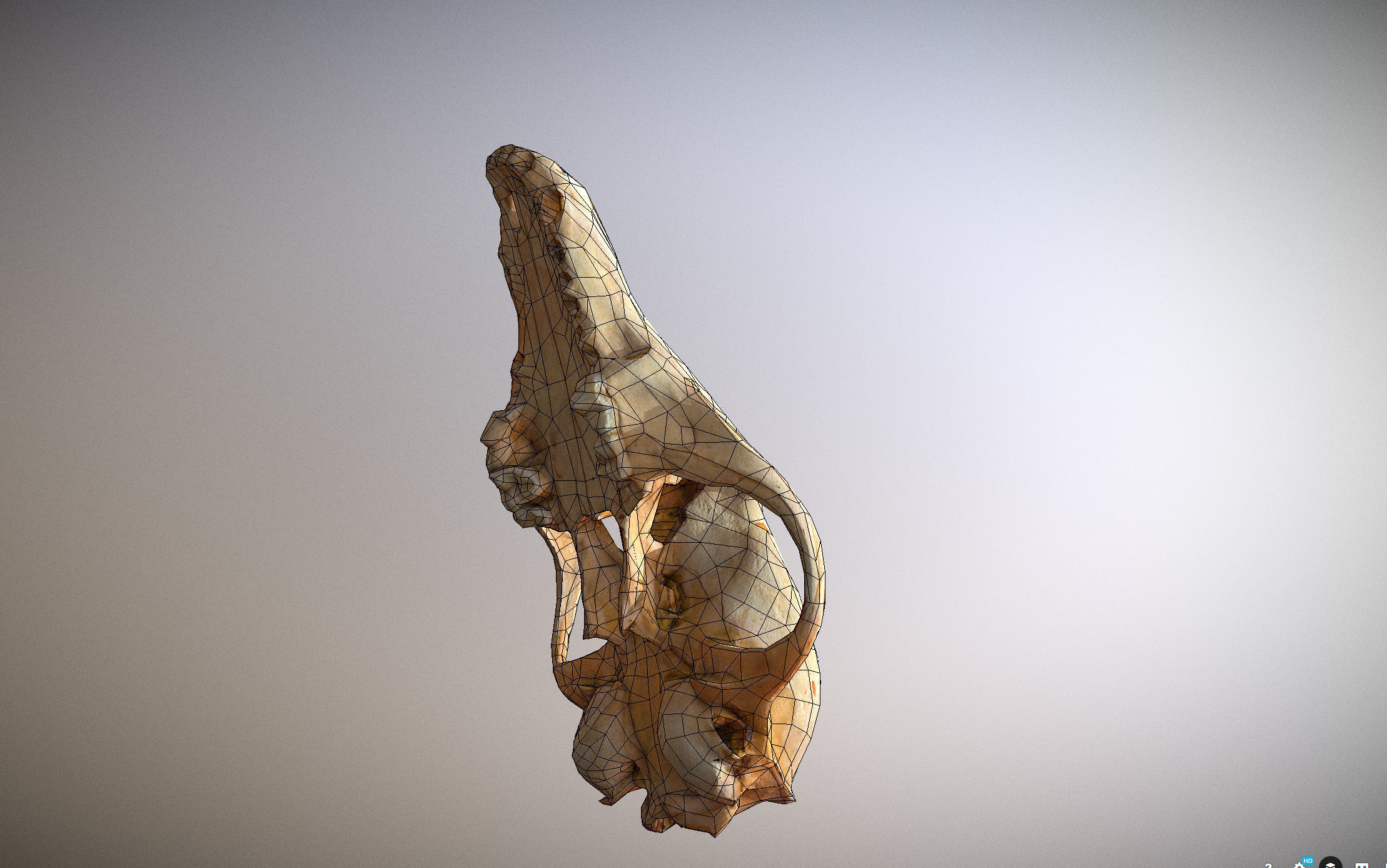 Small photorealistic Skull Low-poly 3D model_15