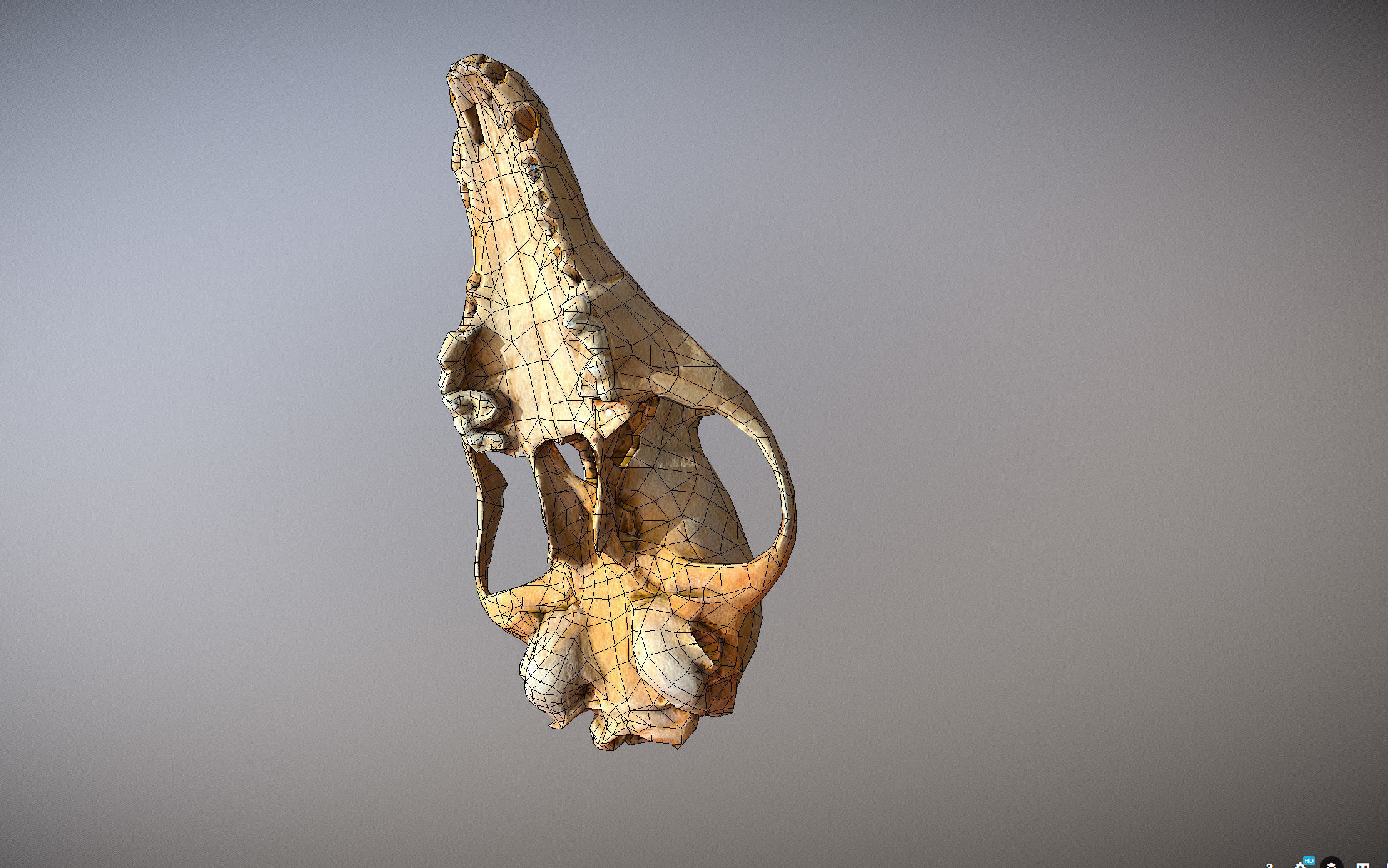 Small photorealistic Skull Low-poly 3D model_20