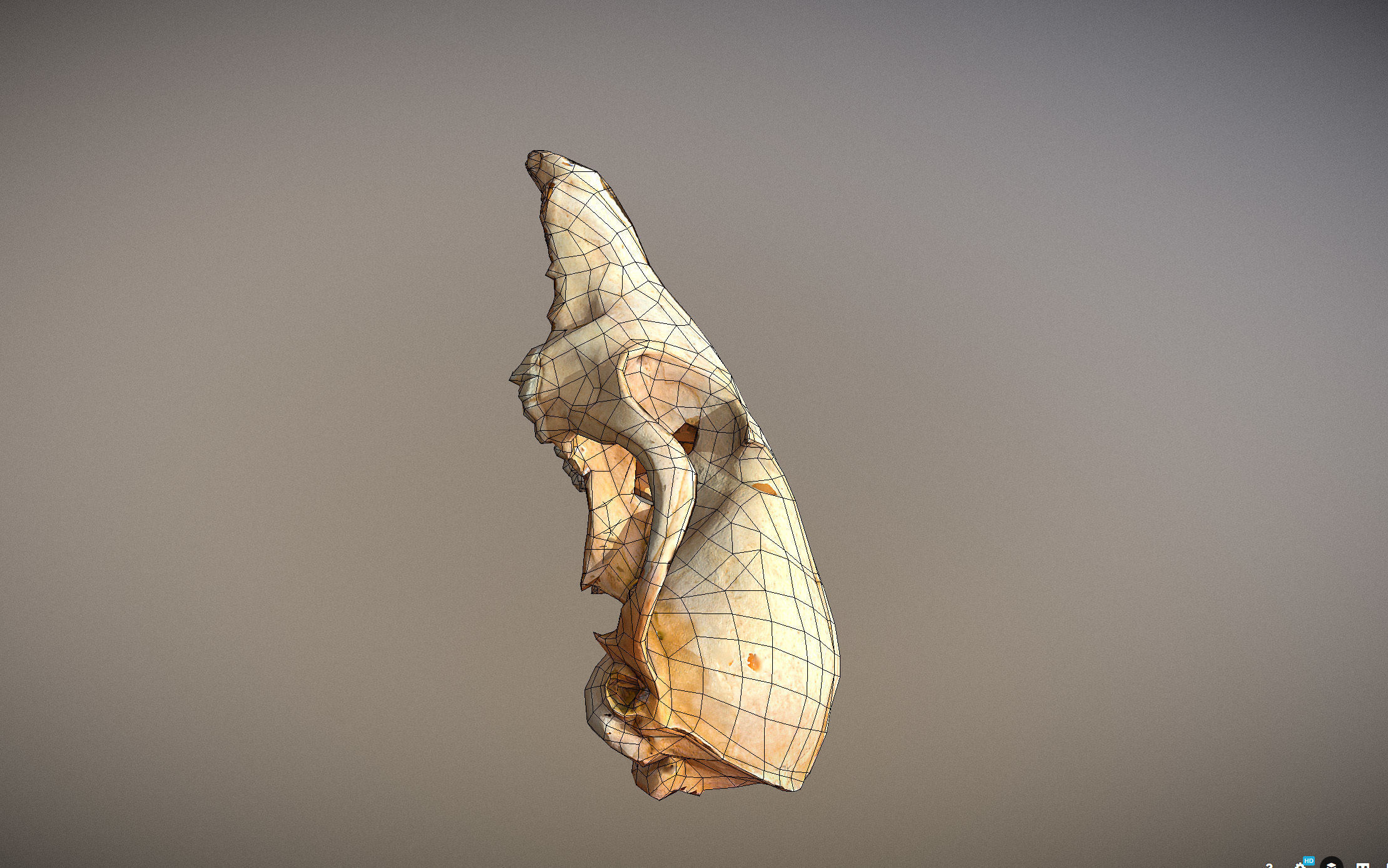 Small photorealistic Skull Low-poly 3D model_16