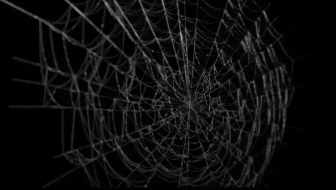 Spiderweb spider web 3D model
