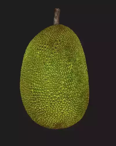Jackfruit