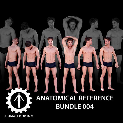 6 Male Standing Poses Anatomical Reference Bundle 004 Low-poly 3D model