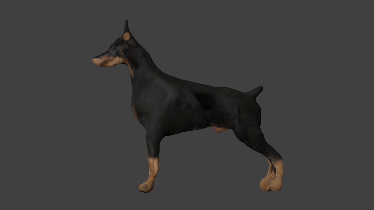 Bull Dog