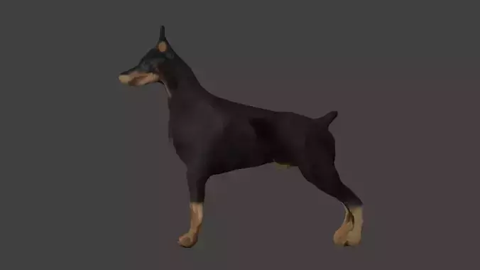 Bull Dog Low-poly 3D model