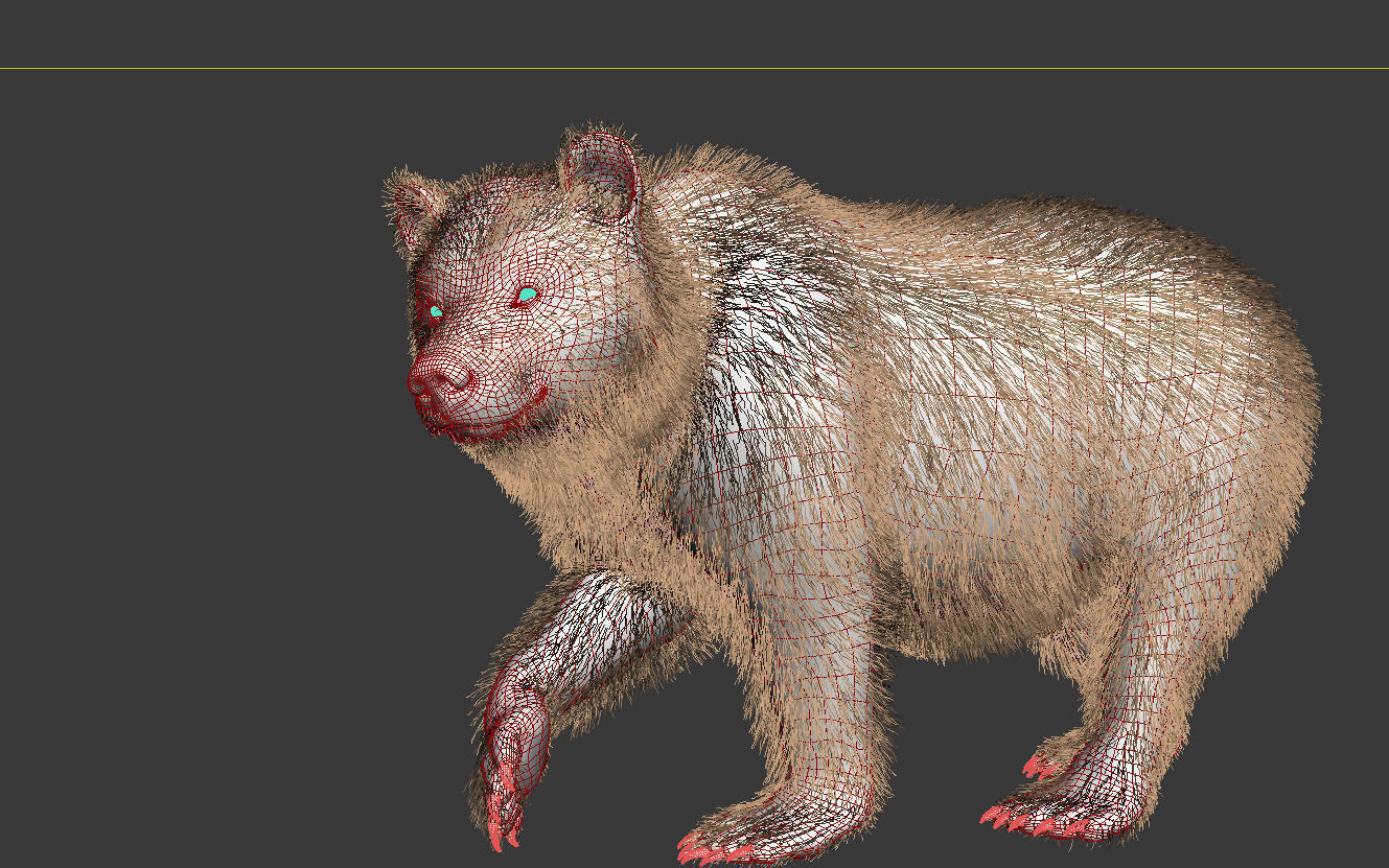 Bear braun 3D model_6