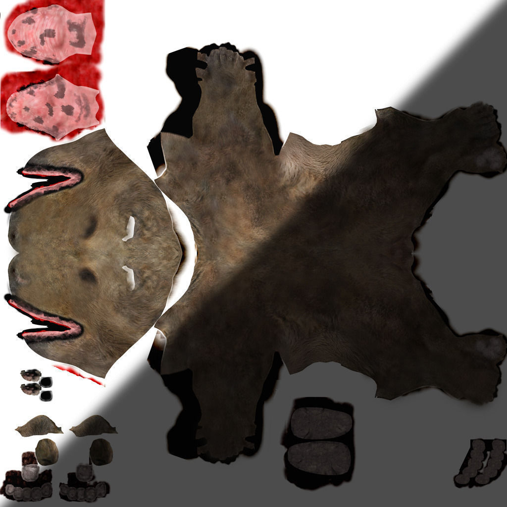 Bear braun 3D model_1