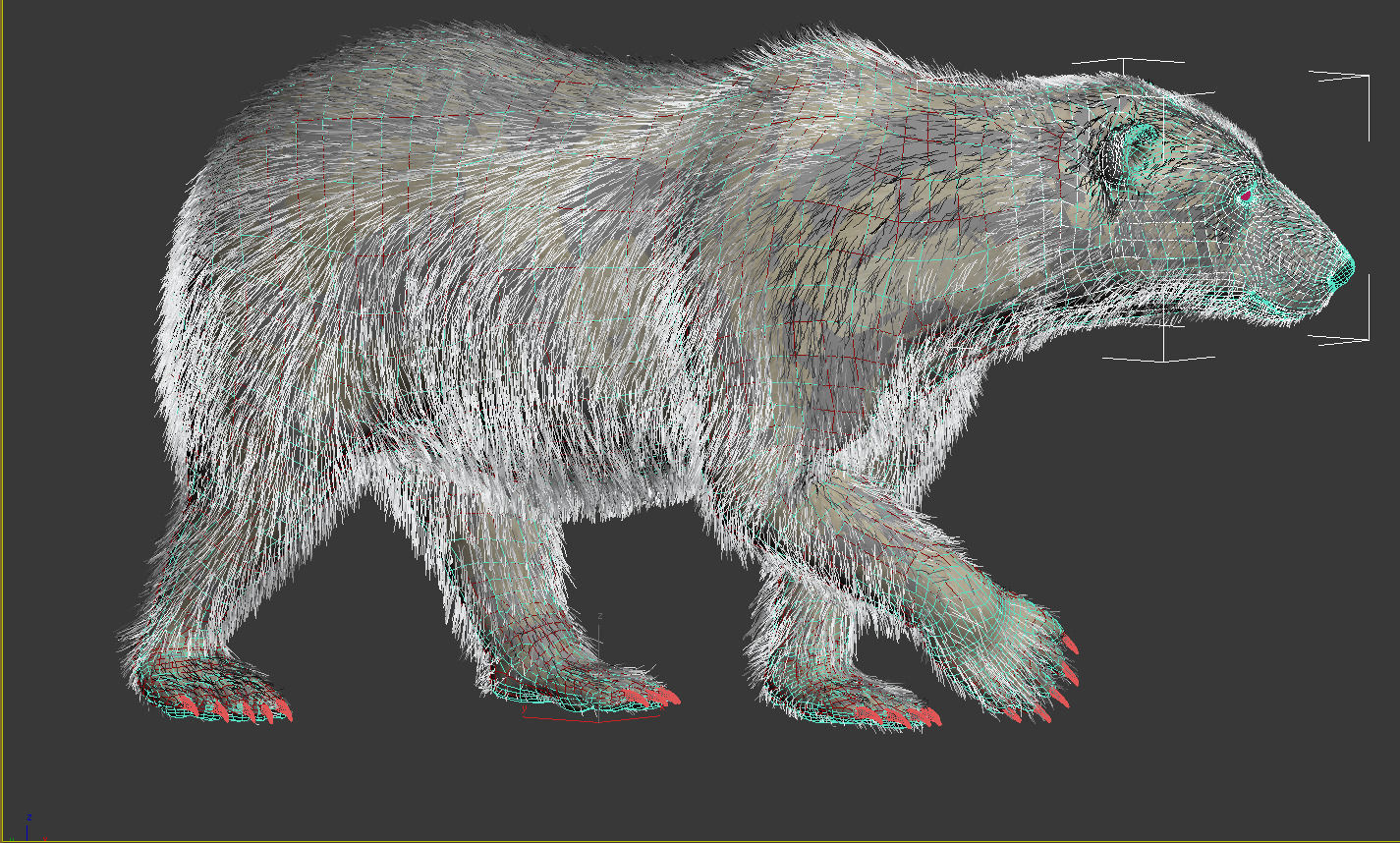 Bear Polar 3D model_6