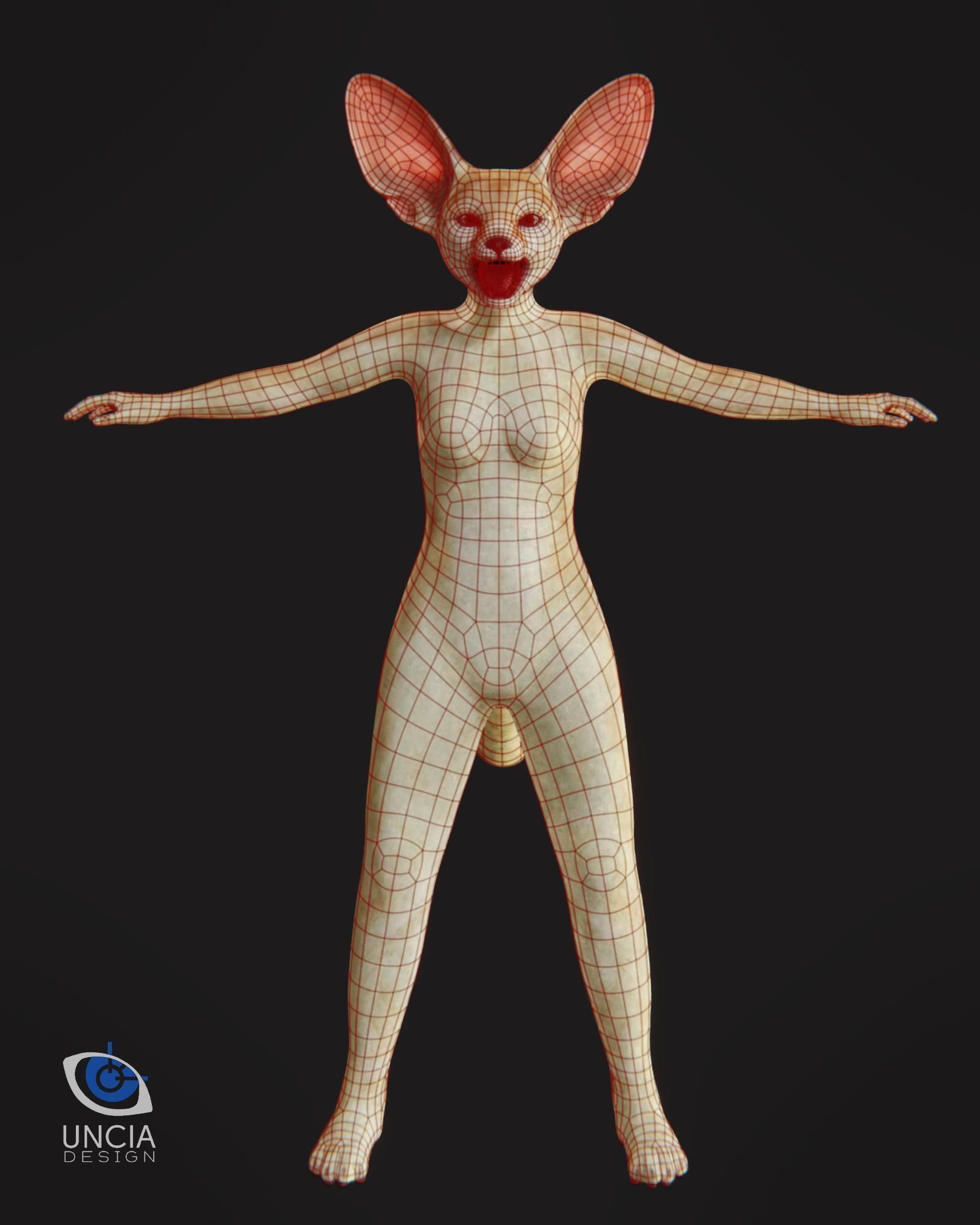 Anthropomorphic Fennec Fox Base Model Low-poly 3D model_4