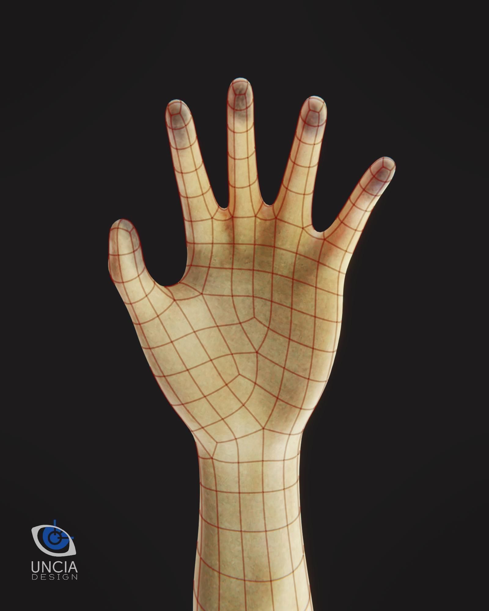 Anthropomorphic Fennec Fox Base Model Low-poly 3D model_7