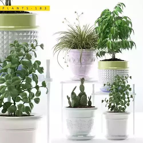 PLANTS 183