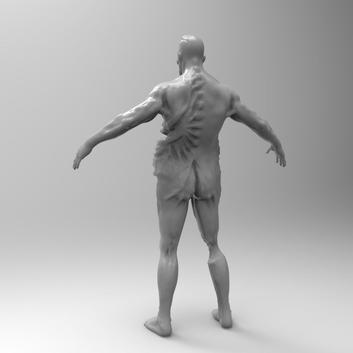 Zombie Character Full Body infected T-posed Low-poly 3D model_3
