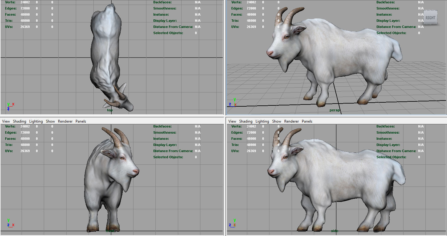 White goat Low-poly 3D model_6