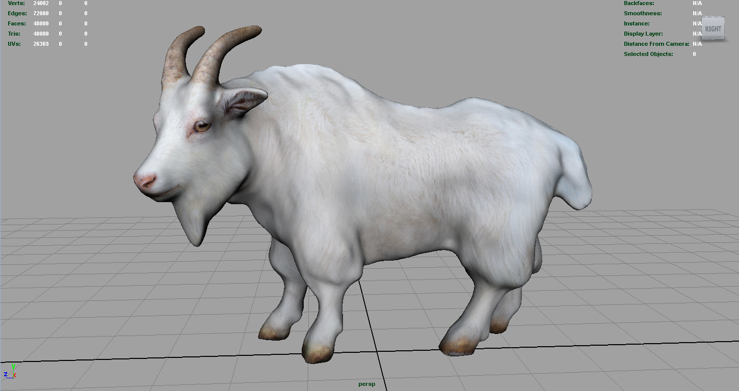 White goat Low-poly 3D model_4