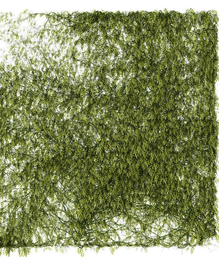 Set of 2 leaf patterns for walls or fences 3D model_2